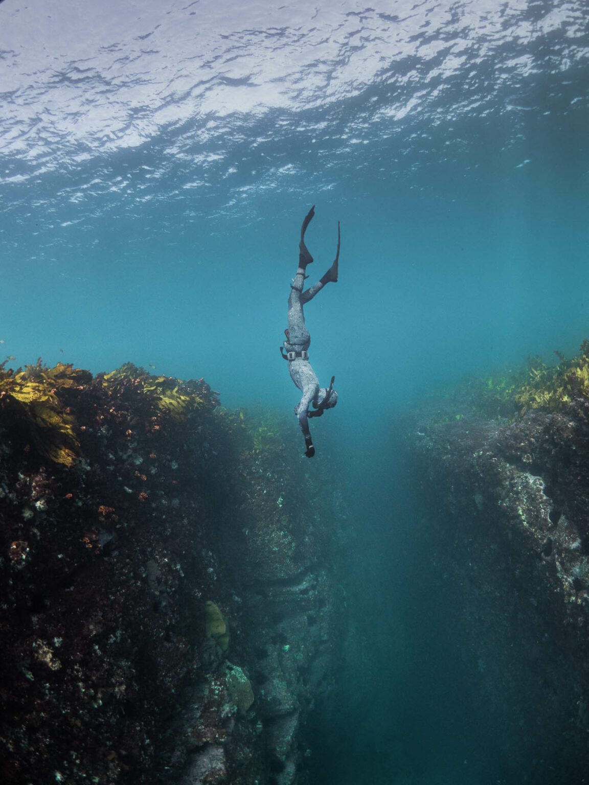Wave 2 Freediving Course Sydney & Central Coast | Freediving Central