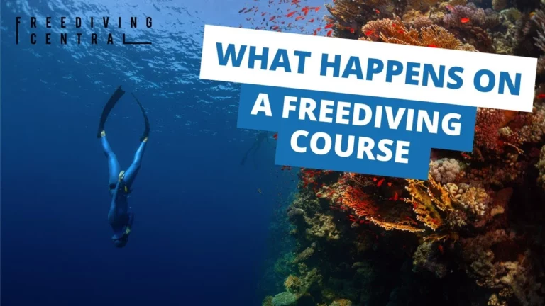 What Happens On A Freediving Course